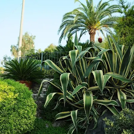 Aparthotel La Cycas