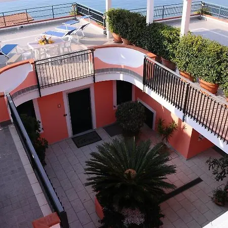 La Cycas *